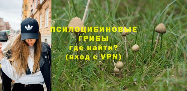 таблы Богородицк