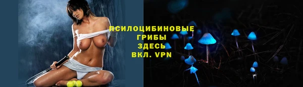 первитин Богородск
