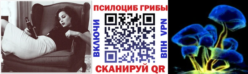 Купить где Губкин Галлюциногенные грибы мухоморы