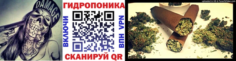 Купить закладки  Губкин  Марихуана Ganja 